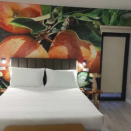 Grapple & 4* Карразеда-ди-Ансиайнш